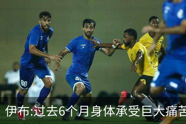 伊布:过去6个月身体承受巨大痛苦 只为帮球队夺冠
